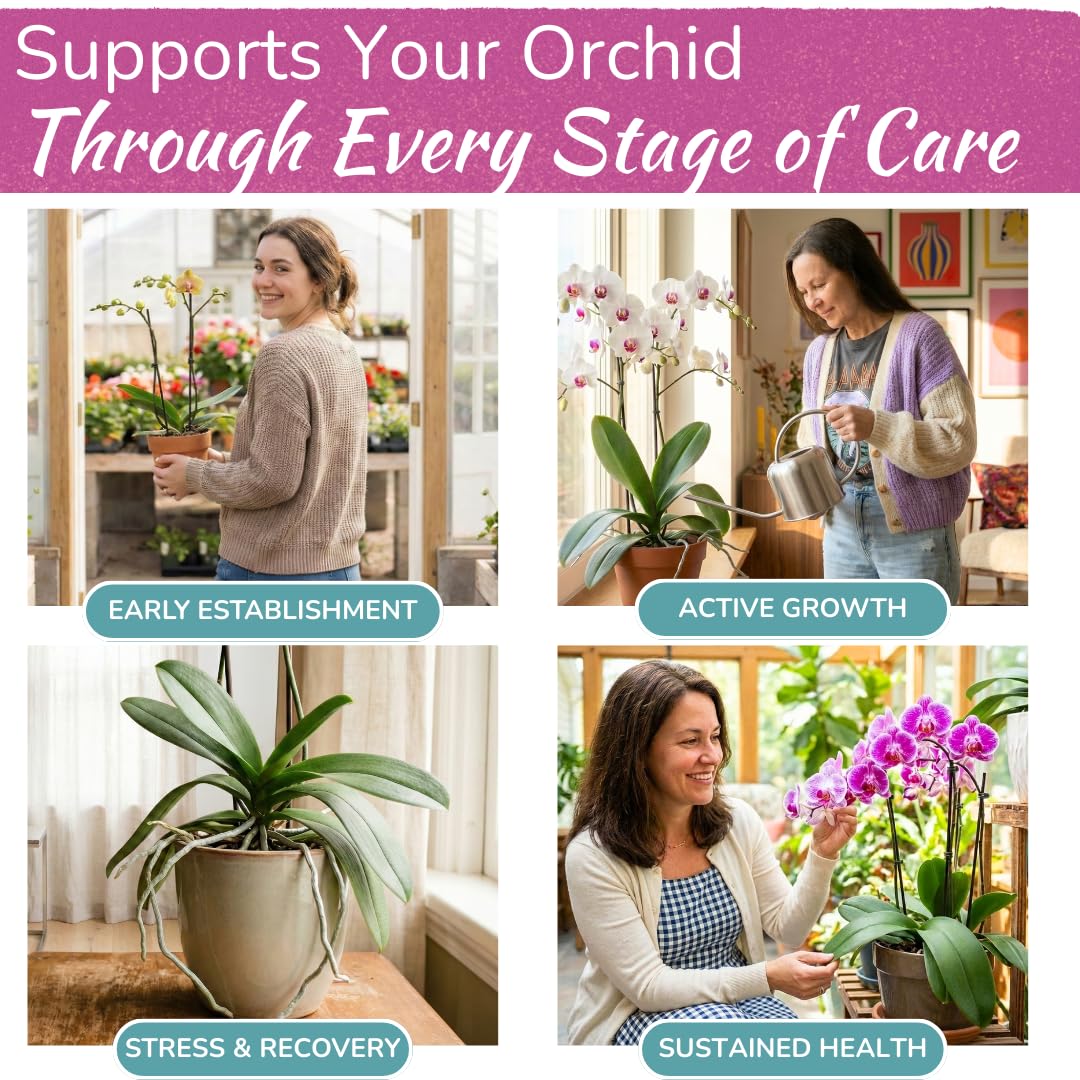 Houseplant Resource Center orchid care indoors outdoors illustrates versatile use.