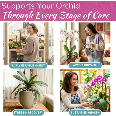 Houseplant Resource Center orchid care indoors outdoors illustrates versatile use.