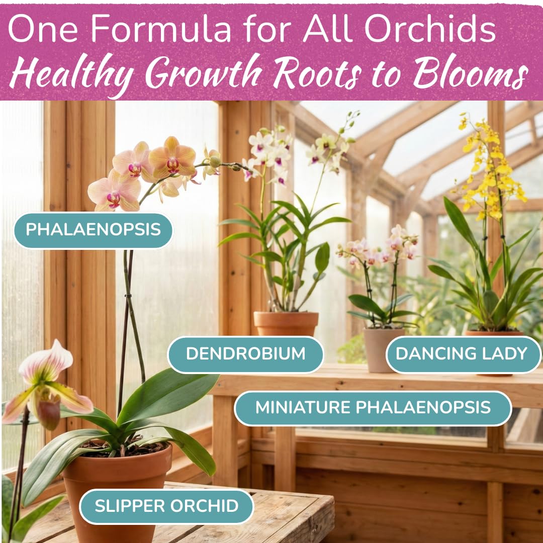 Houseplant Resource Center orchid roots stay healthy with spray application.