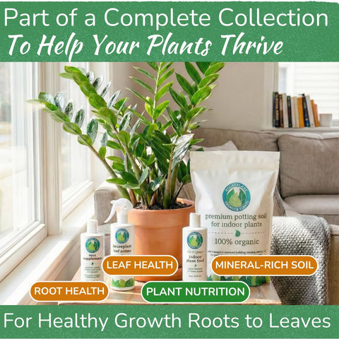 Houseplant Resource Center Peace Lily leaves looking vibrant due to gentle nutrient support.