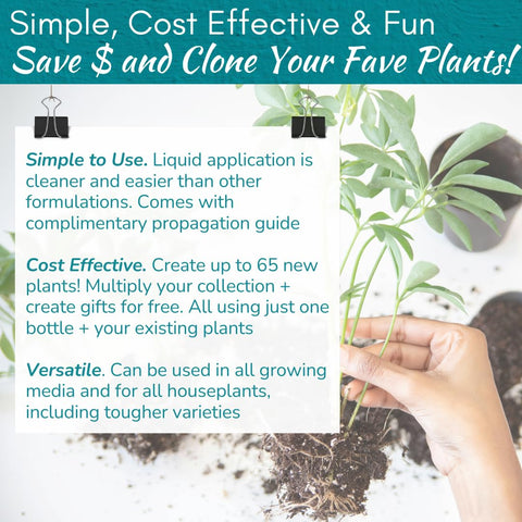 Houseplant Resource Center Prop Drops product guide PDF visible for helpful tips