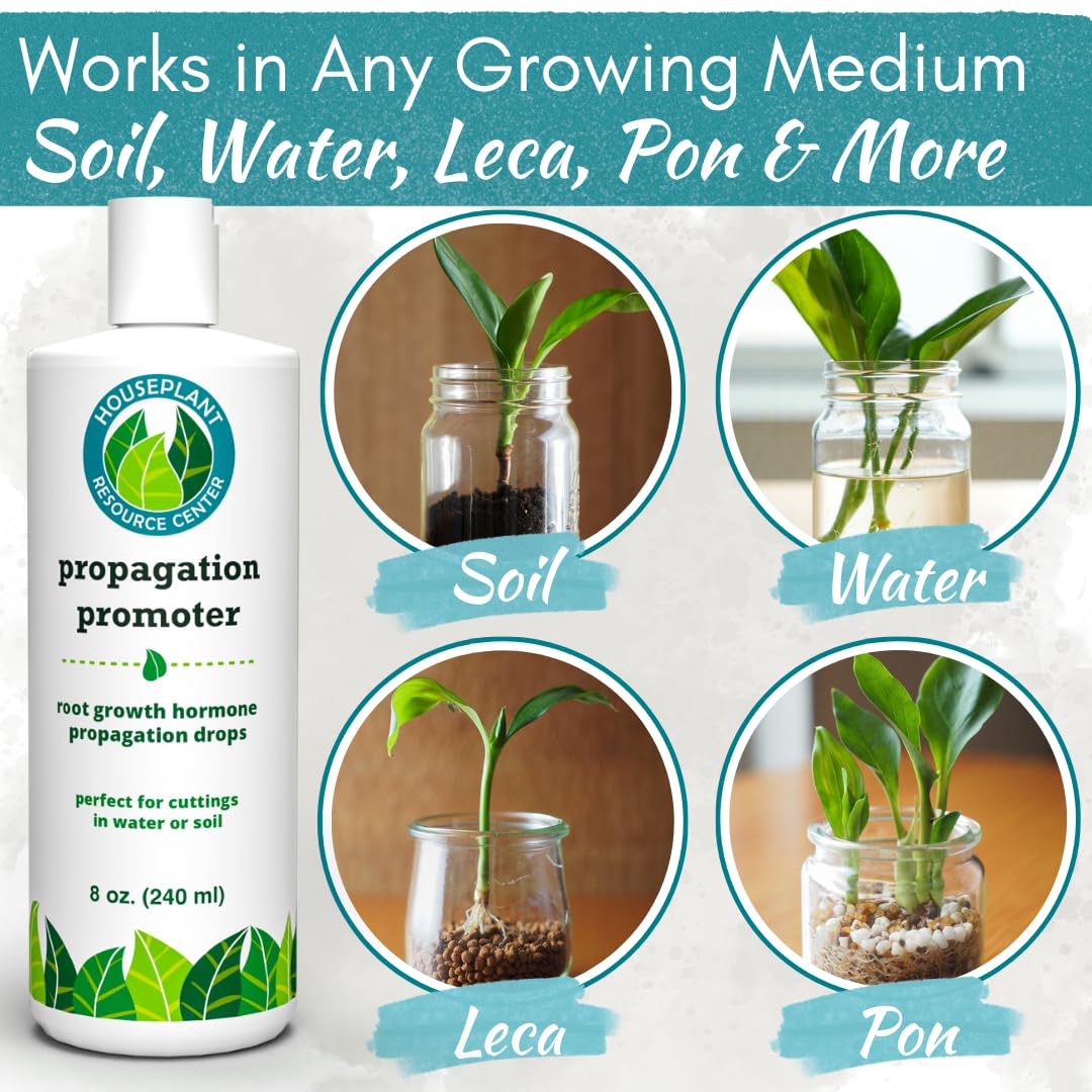 Houseplant Resource Center Prop Drops used in soil propagation supports healthier roots
