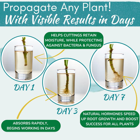 Houseplant Resource Center Prop Drops label closeup highlights seaweed and humic acid benefits