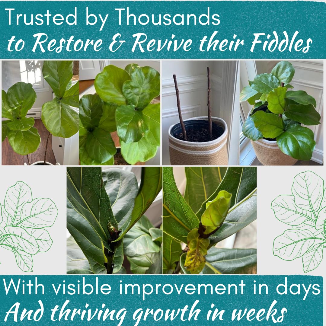 Root-stress and transplant shock support visual using Rescue Drops.