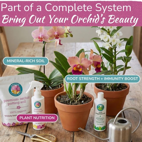 Houseplant Resource Center safe gentle formula protects delicate orchid leaves.