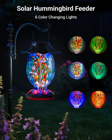 HouseSapp feeder nightly color-changing lights add decorative glow to your garden