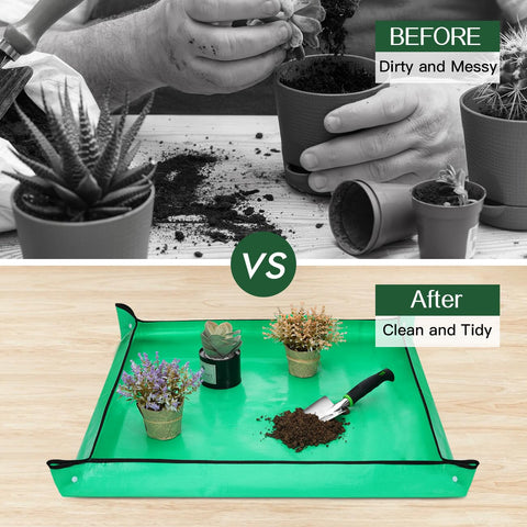 Housolution plant transplant tool easing delicate seedling movement