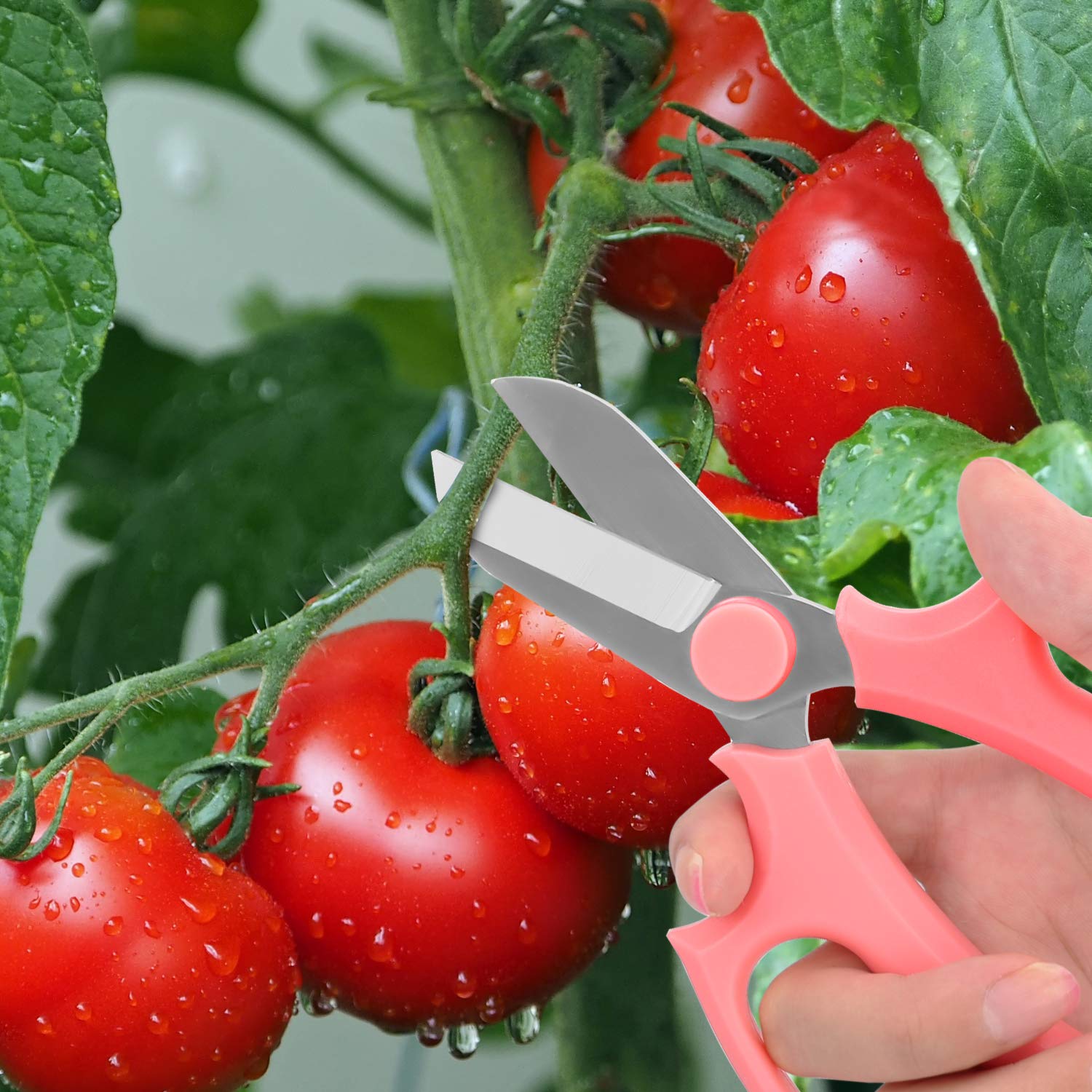 Housolution flower arrangement tool for precise cuts on delicate stems