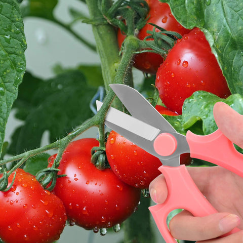 Housolution flower arrangement tool for precise cuts on delicate stems