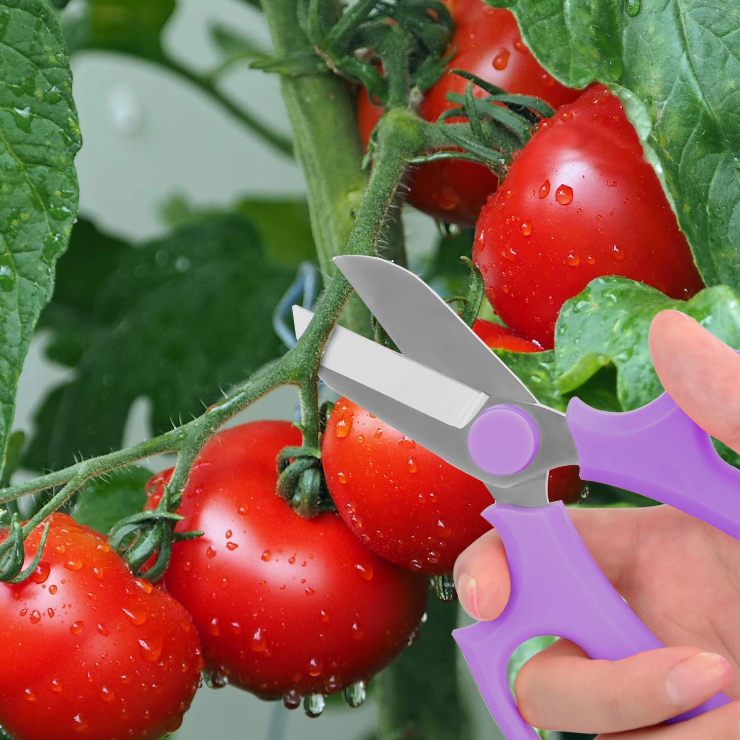 Housolution Flower Scissors easy maintenance after use with quick cleaning and lubrication.