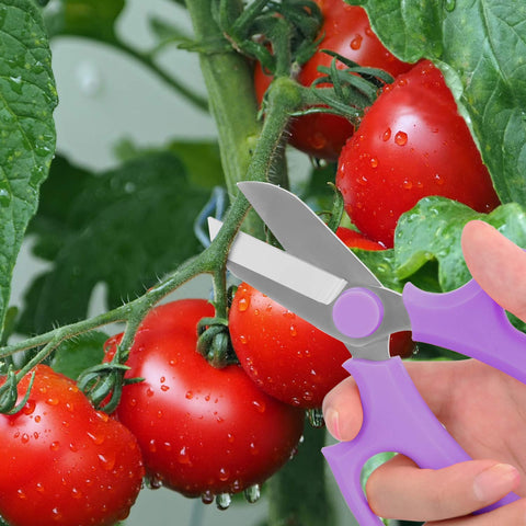 Housolution Flower Scissors easy maintenance after use with quick cleaning and lubrication.