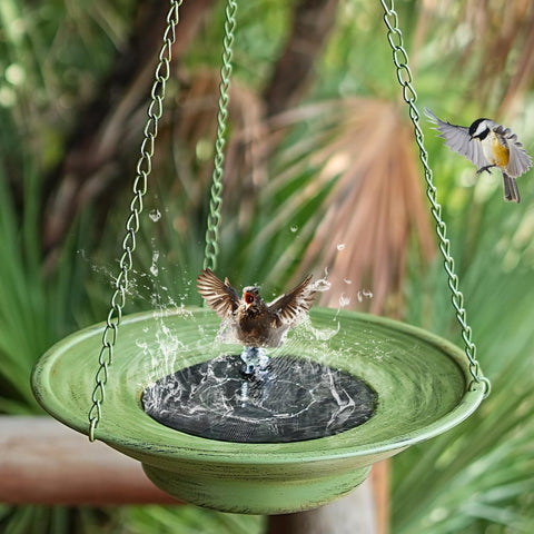 HOUYANG 12.4 inch wide bowl supports drinking and splashing for birds.