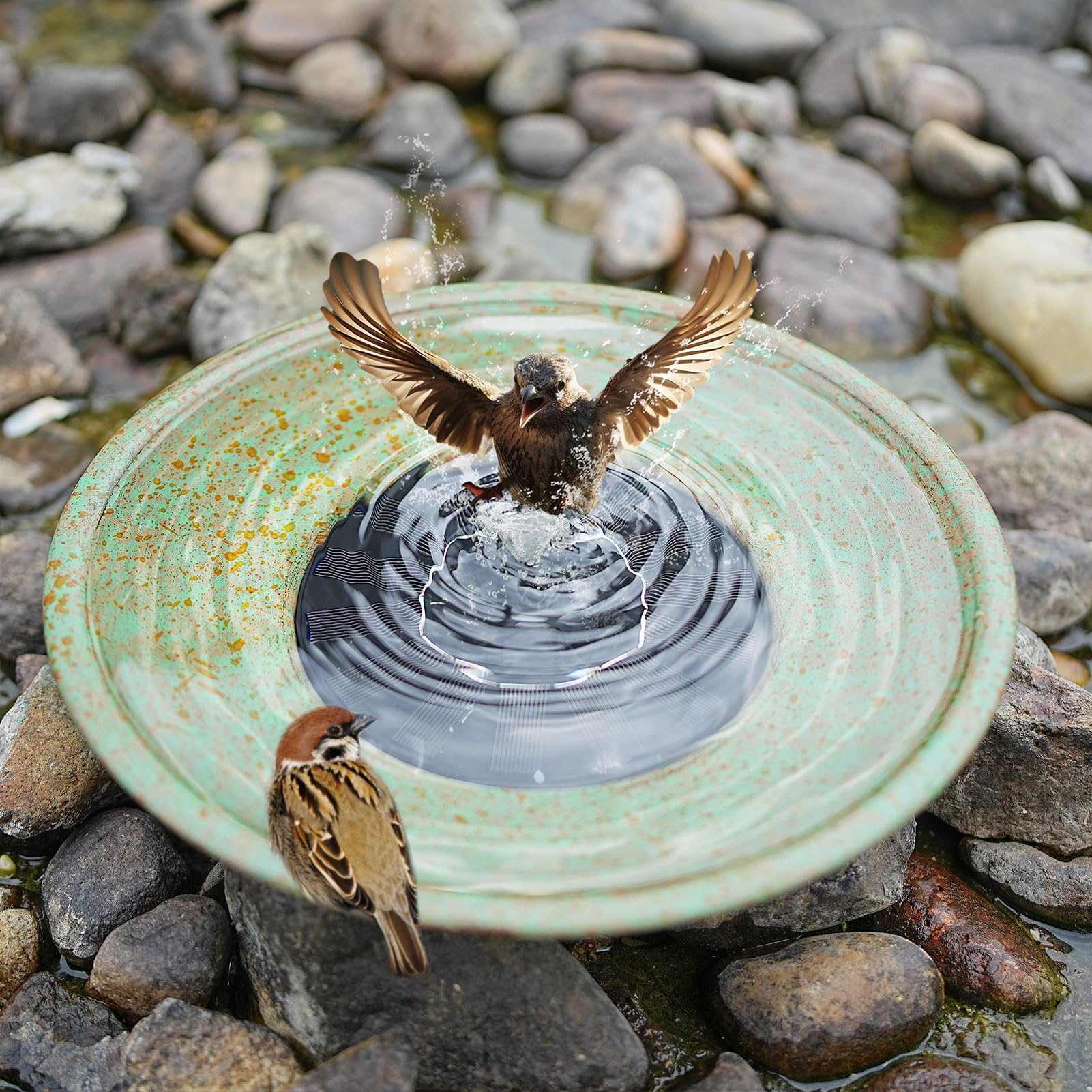 HOUYANG garden bird bath decor enhances patio ambiance and attracts birds