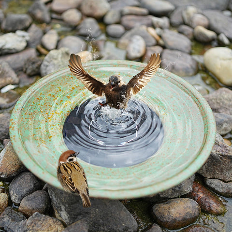 HOUYANG garden bird bath decor enhances patio ambiance and attracts birds