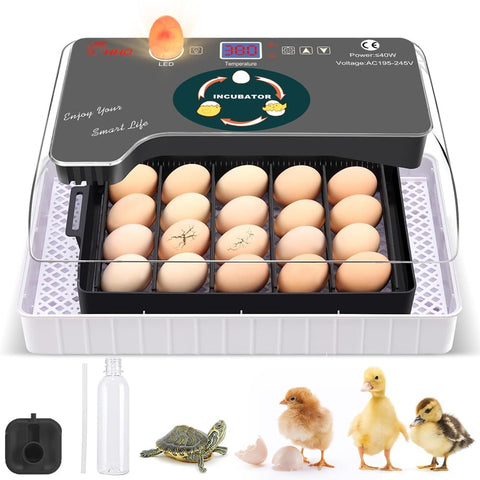 howooiua 12-egg incubator with digital temperature control for precise hatch planning