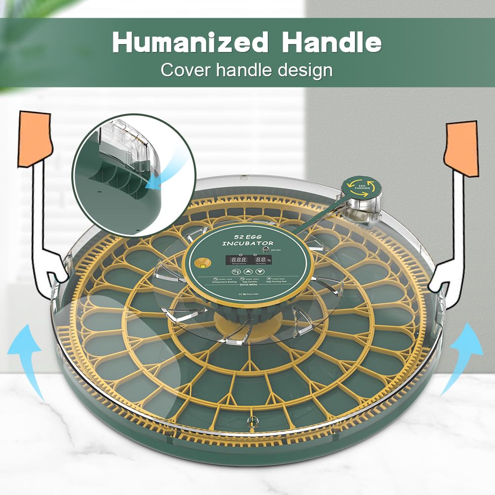 Howooiua 360-degree transparent lid allows easy viewing of eggs