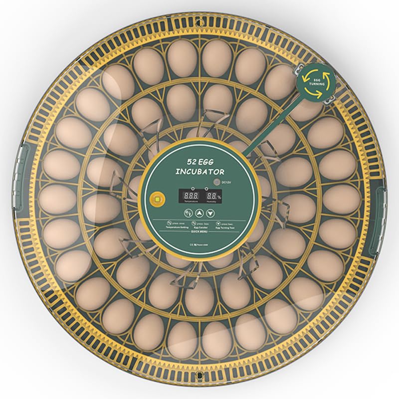 Howooiua 52 egg incubator with automatic turner enabling even hatch development