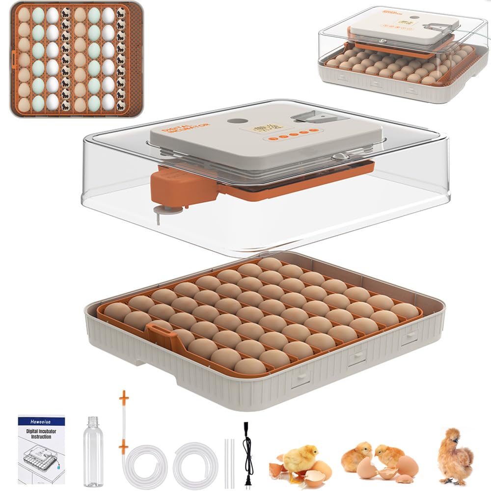 The howooiua 56 egg incubator control panel shows precise climate data for reliable hatching.