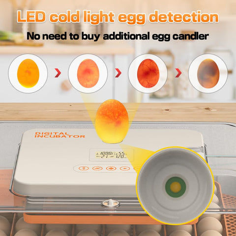 The howooiua adjustable egg tray flexibly fits chicken, duck, and goose eggs.