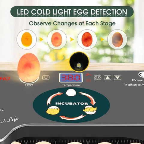 howooiua automatic egg turner provides hourly, even rotation for healthier embryo development