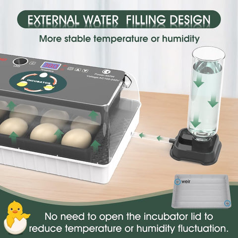 howooiua observation window shows daily progress and hatch readiness