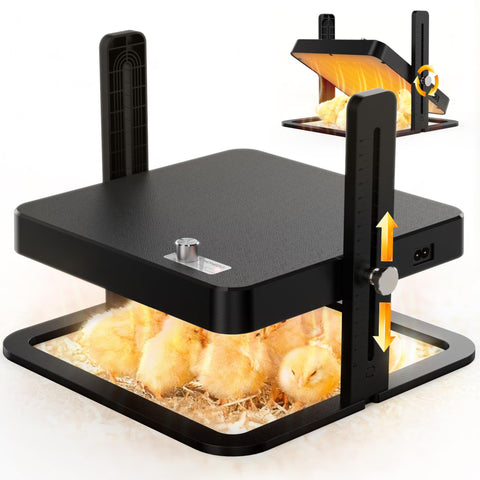 HOWOOIUA chick heating plate angle adjustment demonstrates flexible warmth for growing chicks