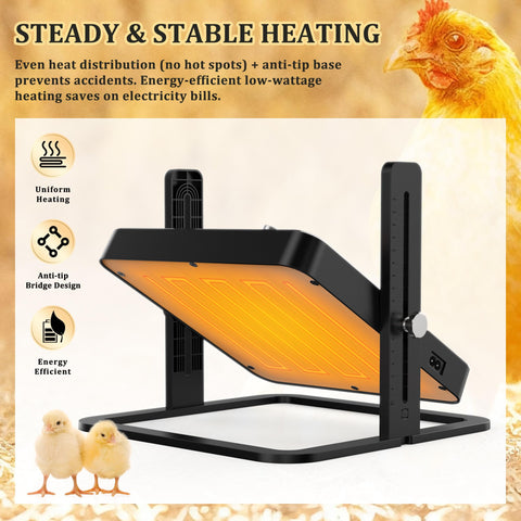 HOWOOIUA large 10x10 warm area fits 10–15 chicks comfortably