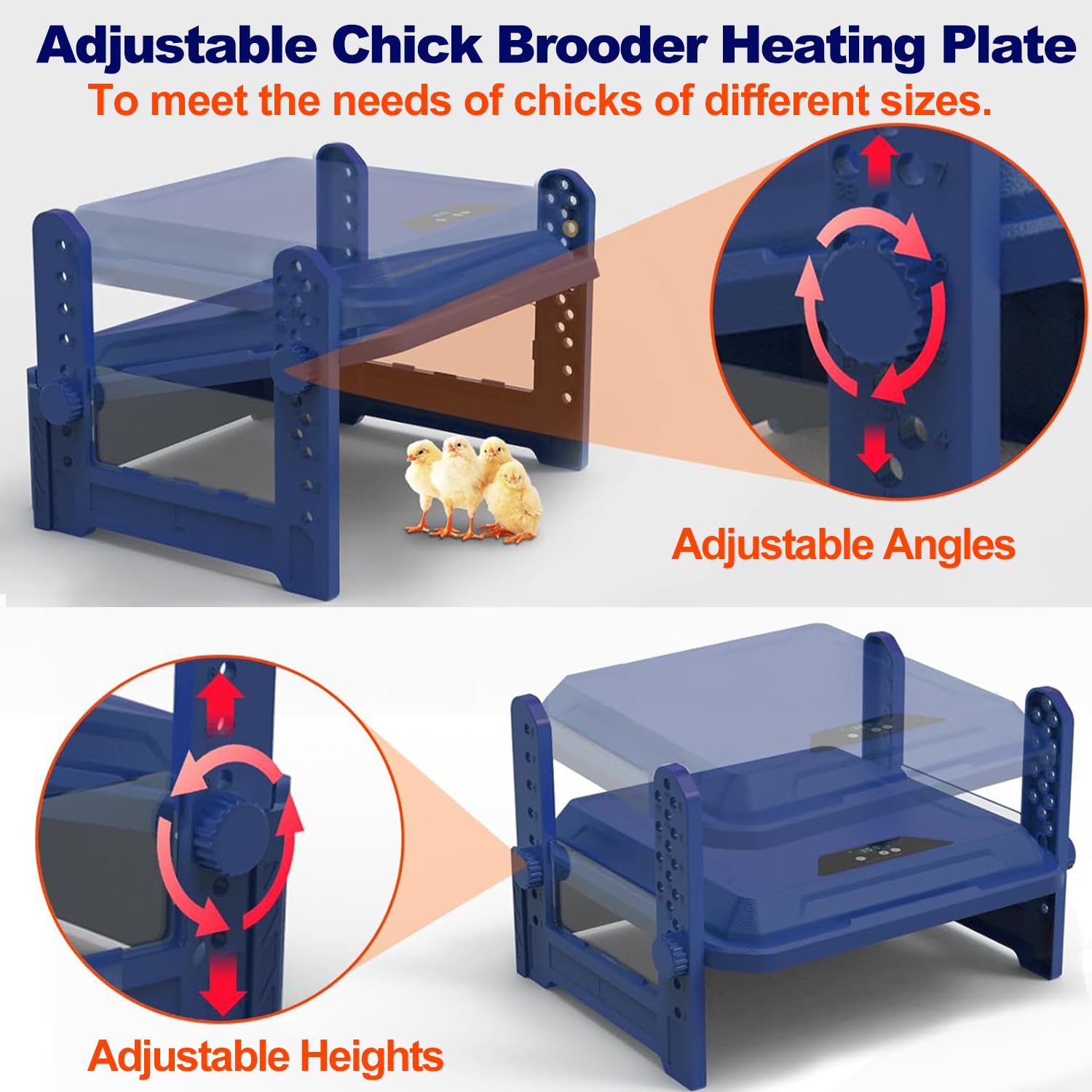 HOWUXZO Adjustable-height legs blue brooder supports growing chicks