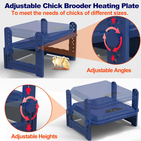 HOWUXZO Adjustable-height legs blue brooder supports growing chicks