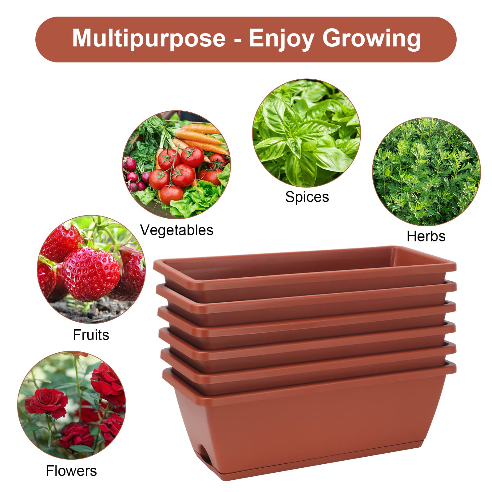 HOXHA 6-pack inspires an urban garden setup in a compact space