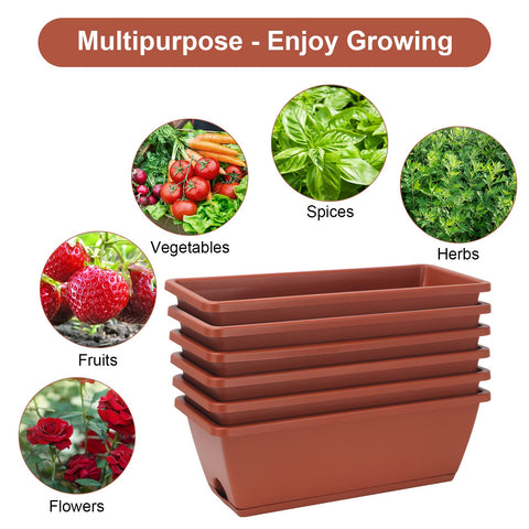 HOXHA 6-pack inspires an urban garden setup in a compact space
