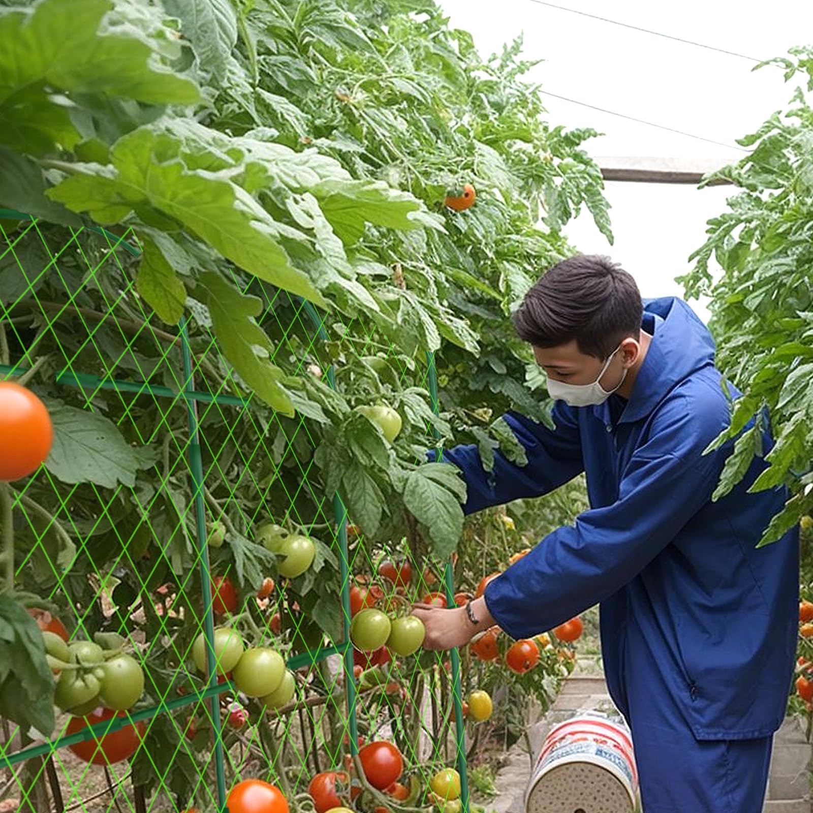 Hoyejyou foldable metal arch trellis stores flat after season