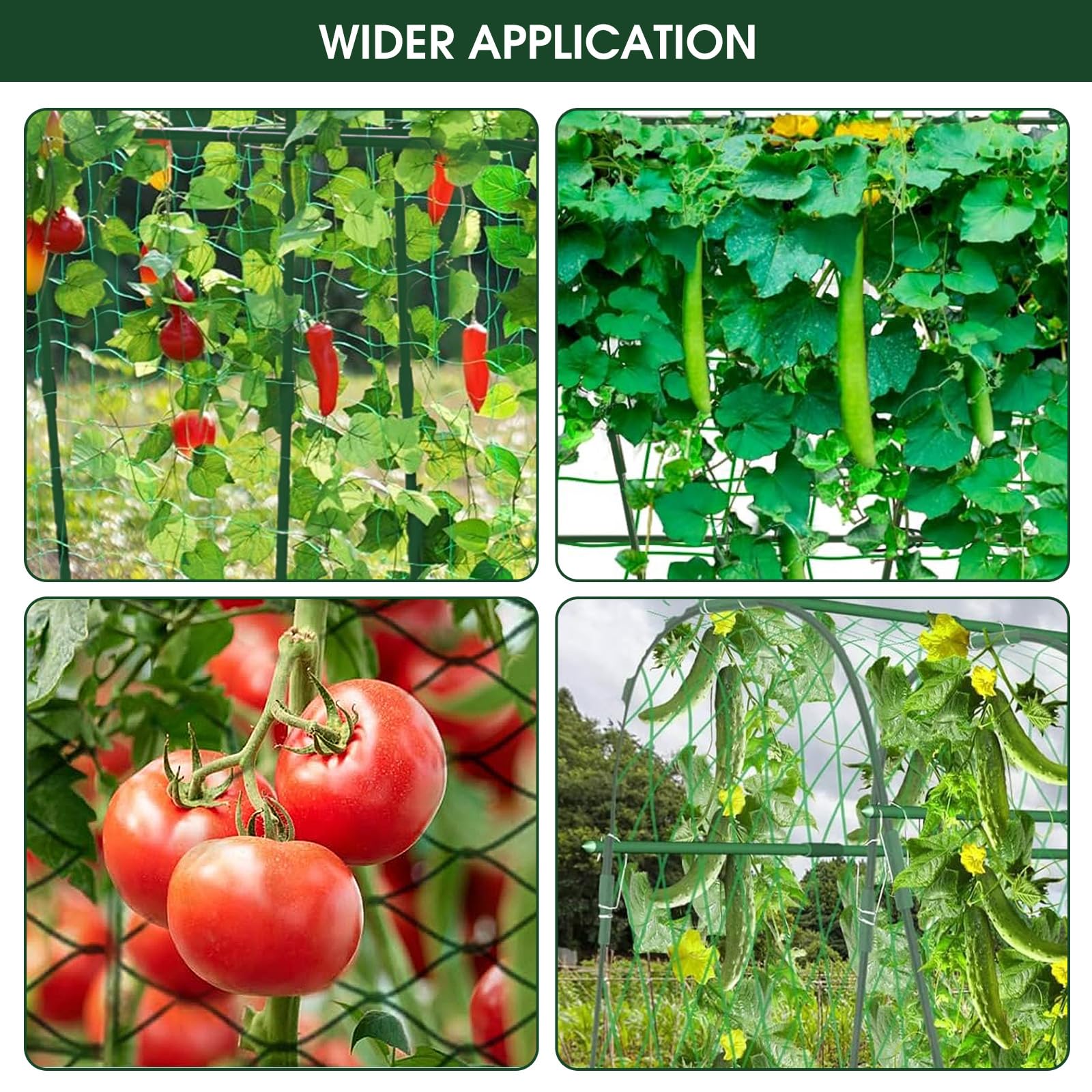 Hoyejyou trellis netting helps vines spread across the arch