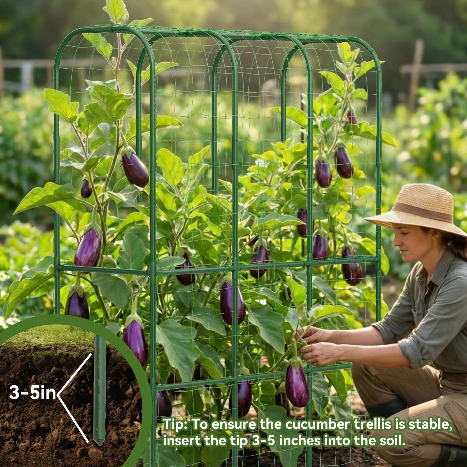 Hoyejyou included trellis netting helps guide delicate vines across surfaces.
