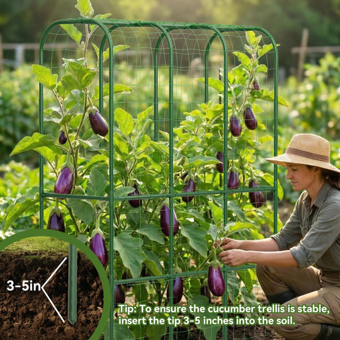 Hoyejyou included trellis netting helps guide delicate vines across surfaces.