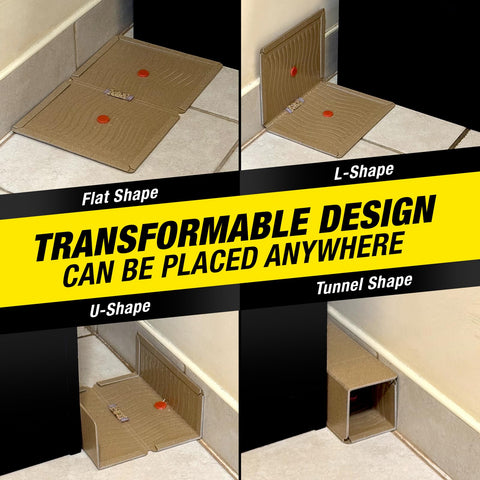 HOY HOY chemical-free trap offers clean indoor use