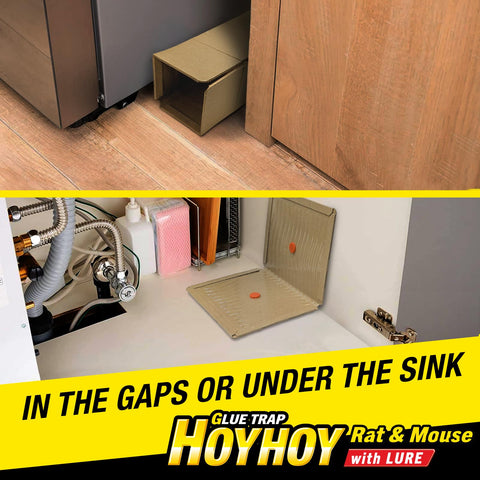 HOY HOY indoor-use scenario in kitchen or storage area