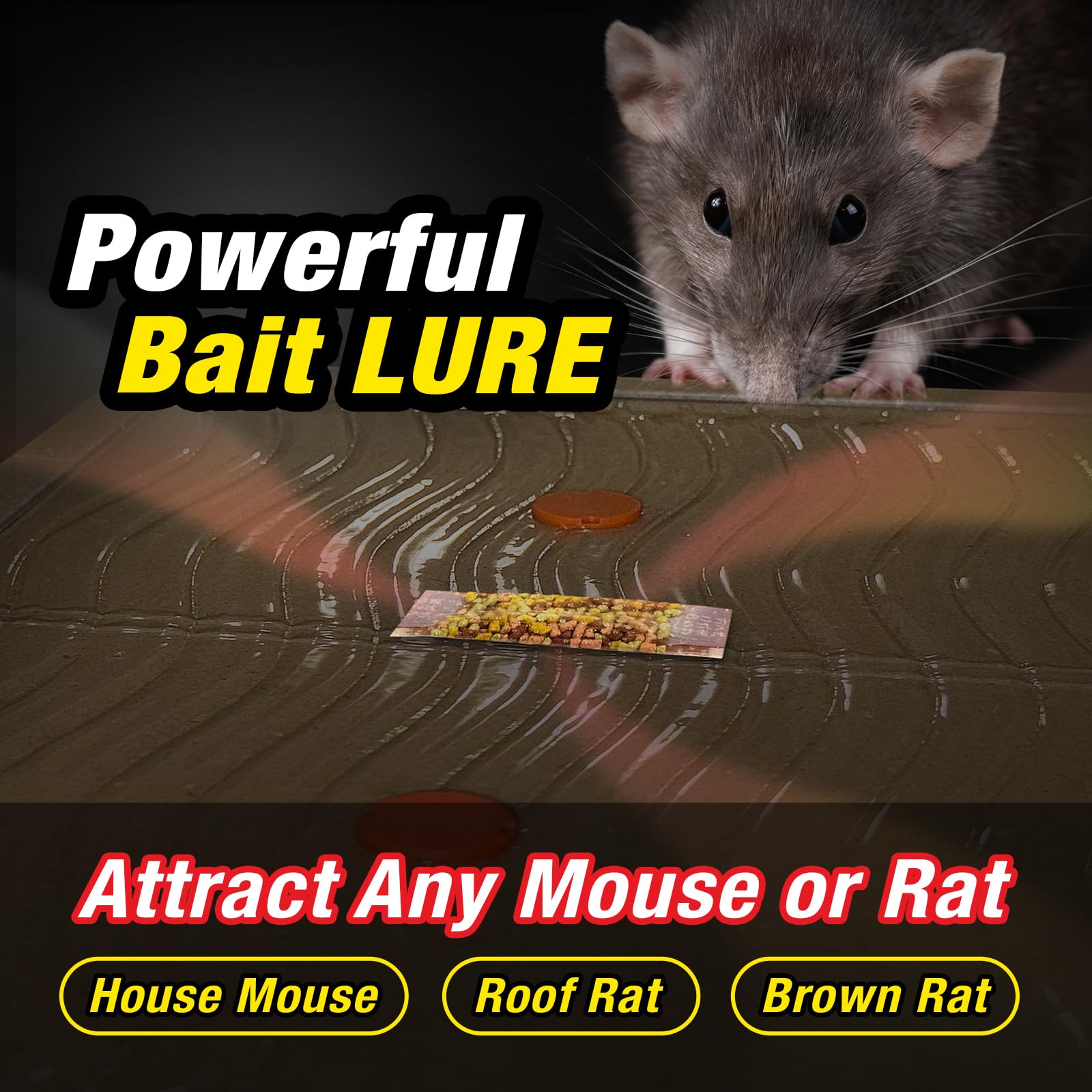 HOY HOY lure bag atop trap attracting rodents naturally