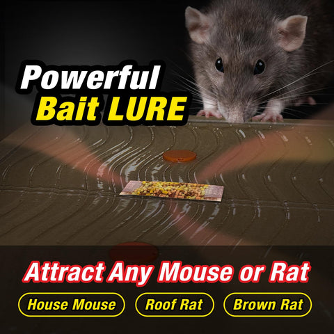 HOY HOY lure bag atop trap attracting rodents naturally