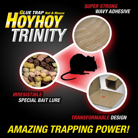 HOY HOY rat glue trap box-style layout for tight spaces