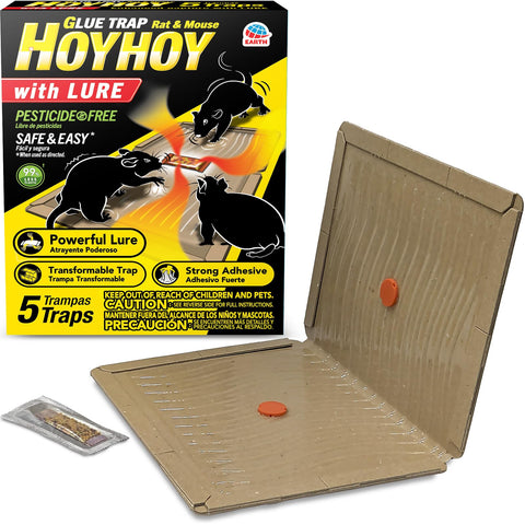 HOY HOY rat glue trap flat setup for easy indoor placement