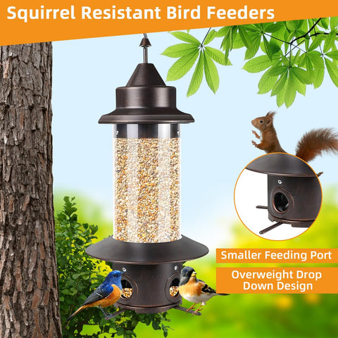 HPEVA bronze feeder tube shows seed level clearly for quick refills