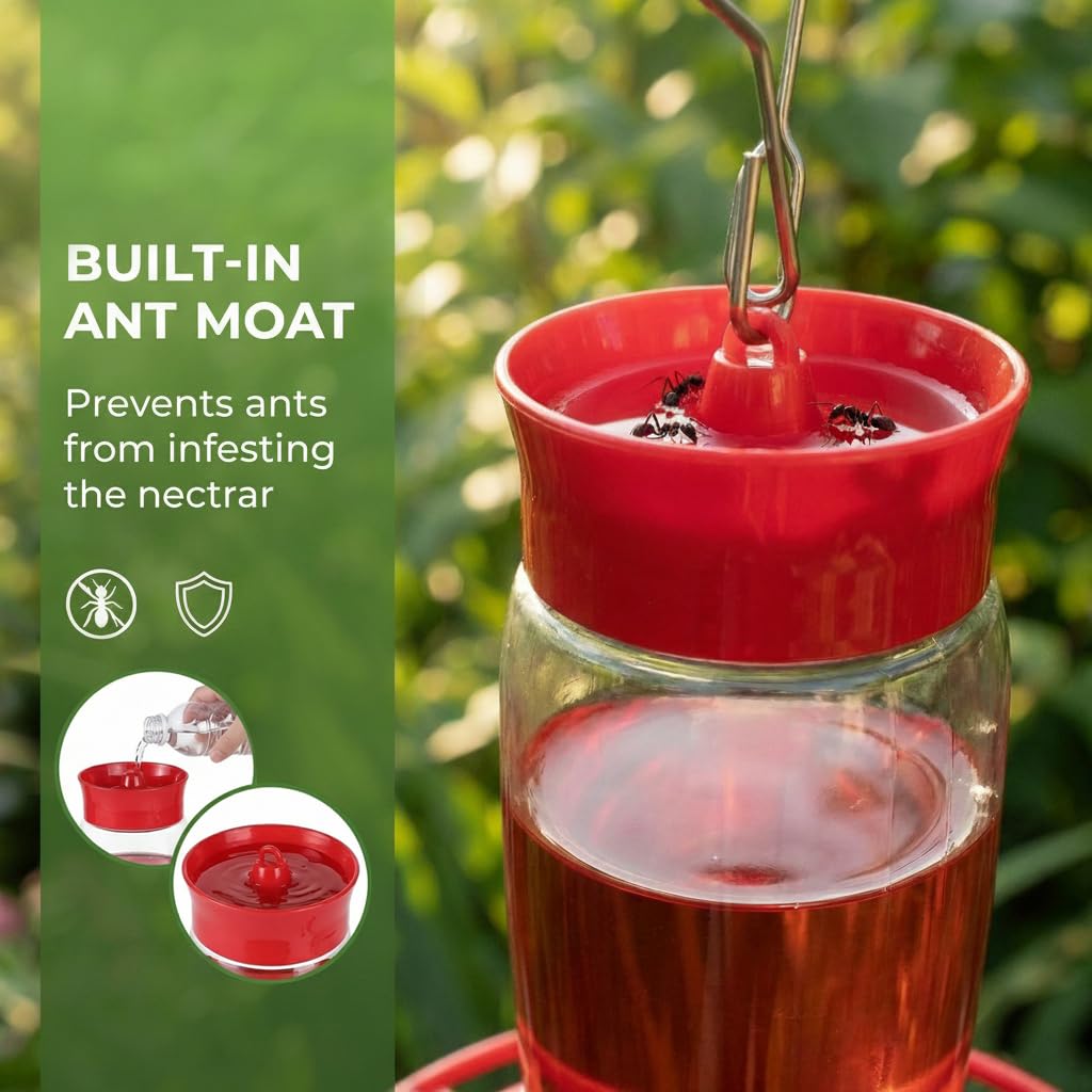 Ant moat with water groove keeps nectar clean in windy outdoor conditions