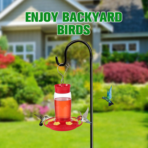 Bright red body enhances garden appeal and bird-watching moments