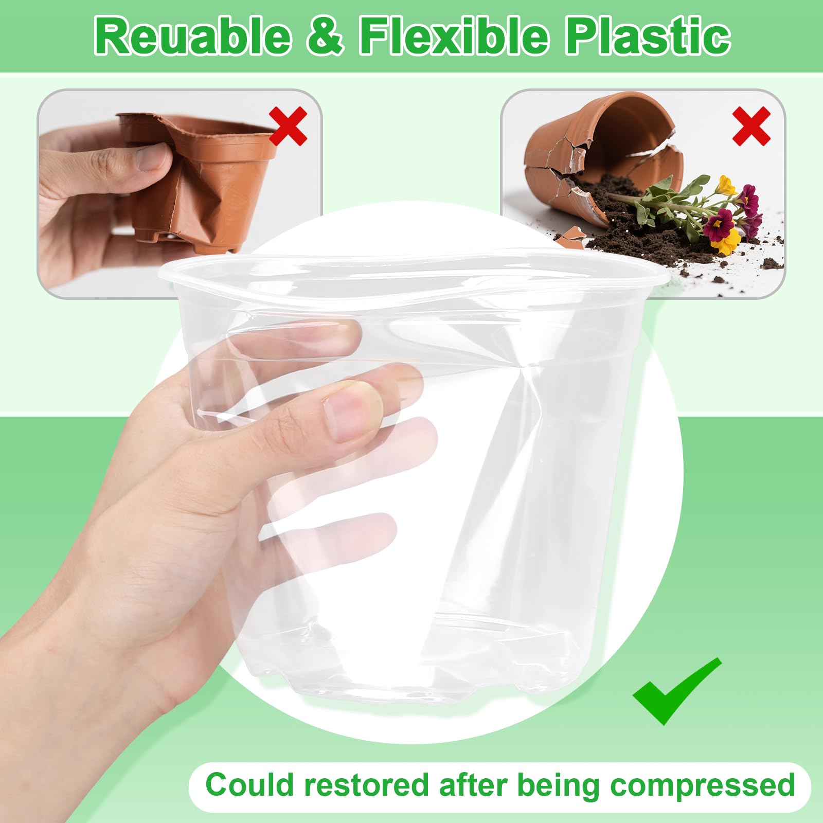 HQAUT 10-inch clear pot for larger sprouts and mature plants.