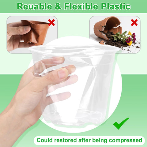HQAUT 10-inch clear pot for larger sprouts and mature plants.