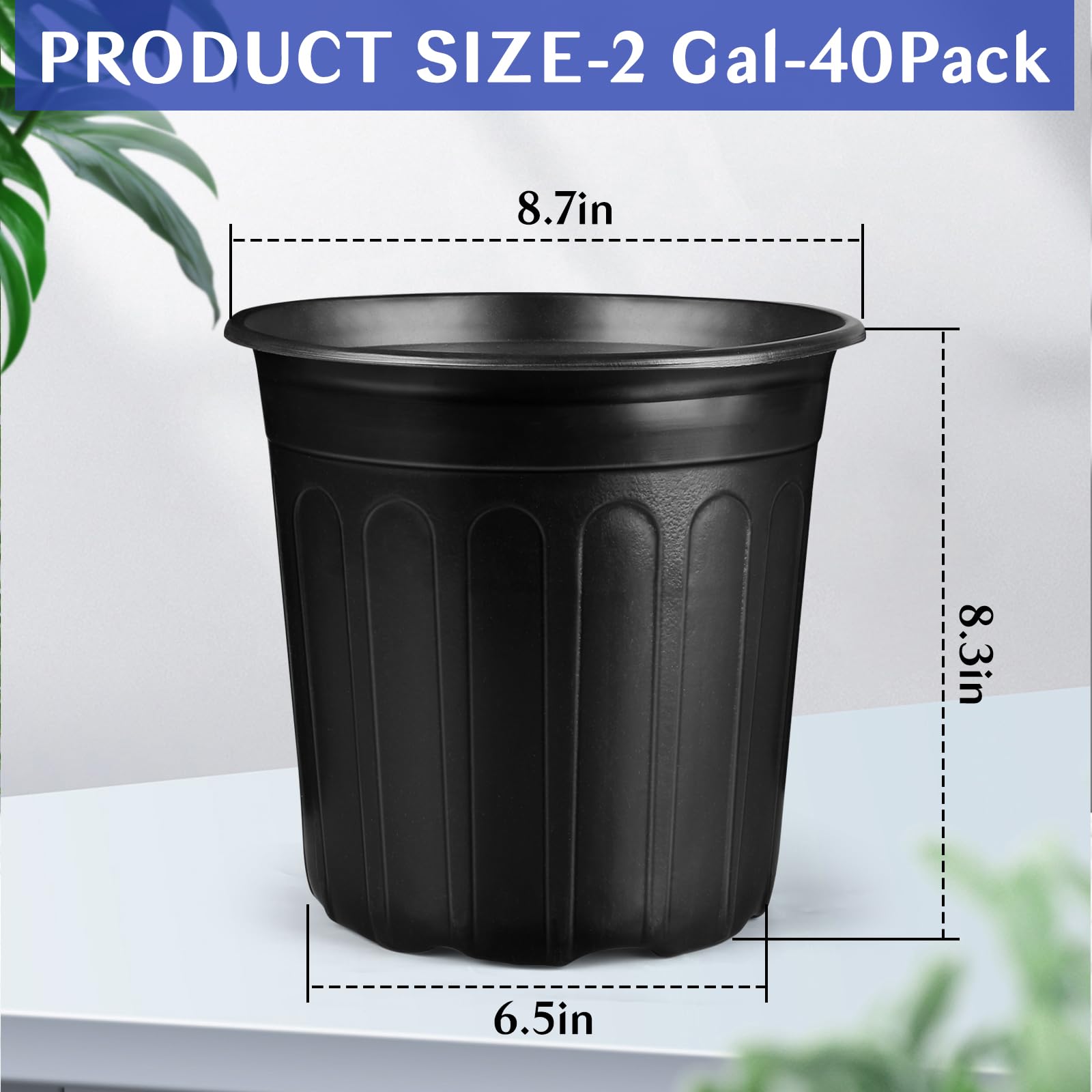 HQAUT 2 gallon pot bottom diameter 6.5 inches for stable setup