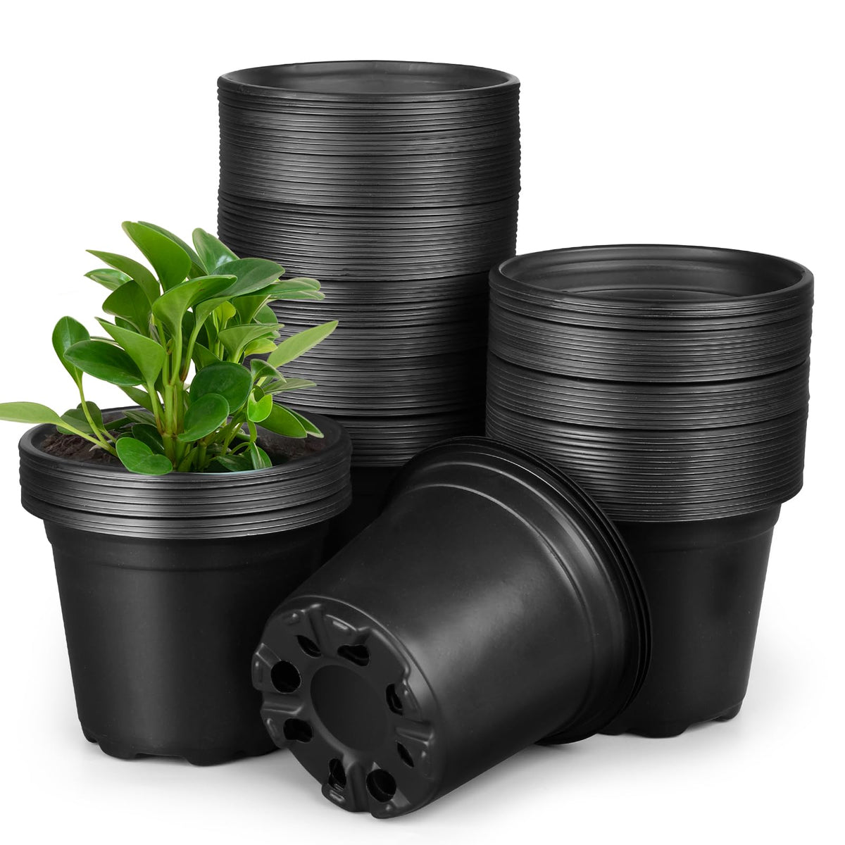 HQAUT 5-inch nursery pot shows exact dimensions for efficient seedling planning.