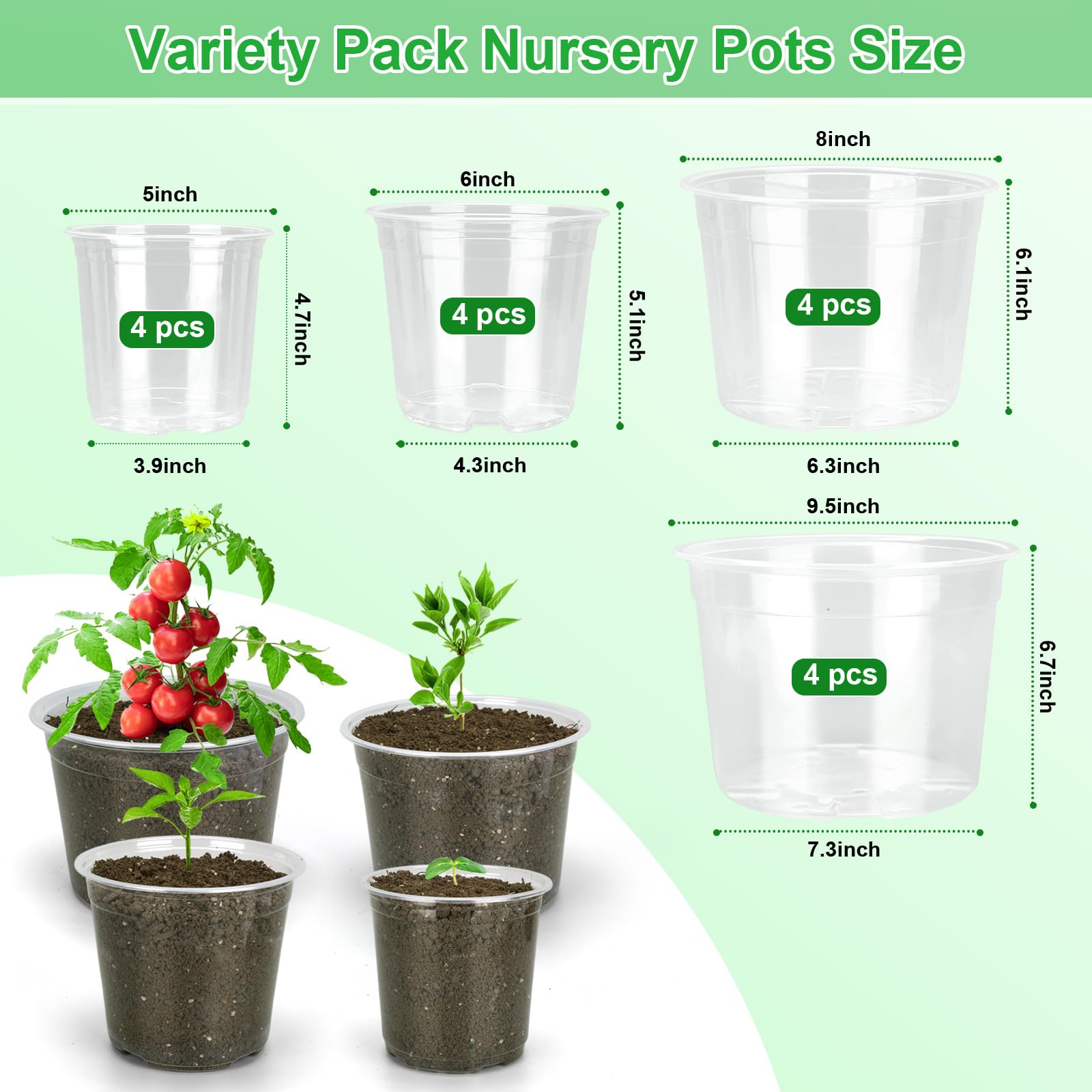 HQAUT 6-inch clear nursery pot with drainage and root visibility.