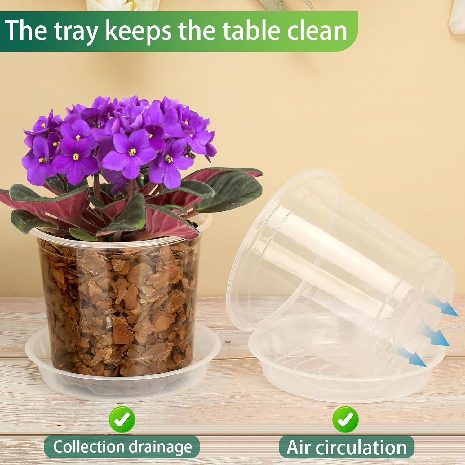 HQAUT clear nursery pot 10-inch large view for transplant planning